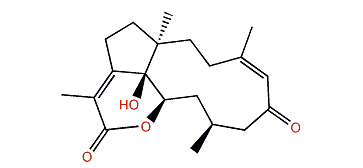 Clavirolide F